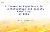 A Slovenian Experience in   Certification and Quality Labelling  of EHRs
