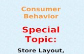Consumer Behavior Special Topic: Store Layout, Design, and Atmospherics