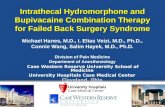 Intrathecal Hydromorphone and Bupivacaine Combination Therapy for Failed Back Surgery Syndrome