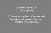 IDGFs = Imaginal Disc Growth Factors