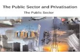 The Public Sector and Privatisation