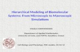 Hierarchical Modeling of Biomolecular Systems: From Microscopic to Macroscopic Simulations