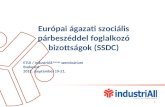 Európai ágazati szociális párbeszéddel foglalkozó bizottságok (SSDC)