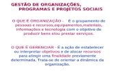 GESTÃO DE ORGANIZAÇÕES,                    PROGRAMAS E PROJETOS SOCIAIS