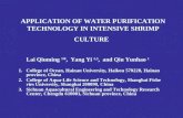 APPLICATION OF WATER PURIFICATION TECHNOLOGY IN INTENSIVE SHRIMP CULTURE