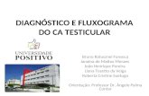 DIAGN“STICO E FLUXOGRAMA DO CA TESTICULAR