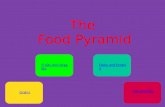 The  Food Pyramid