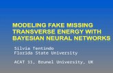 Modeling Fake Missing Transverse Energy with Bayesian Neural  NetwoRkS