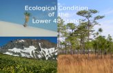 Ecological Condition    of  the  Lower 48 States