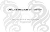 Cultural Impacts of Tourism