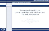 Ecophysiological forest stand  modelling  with XL/Java and  GroIMP  via internet