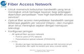 Fiber Access Network