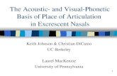 The Acoustic- and Visual-Phonetic Basis of Place of Articulation  in Excrescent Nasals