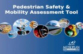 Pedestrian Safety & Mobility Assessment Tool