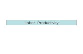 Labor  Productivity