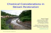Chemical Considerations in Stream Restoration Paul Capel Research Team Leader
