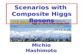Scenarios with  Composite Higgs Bosons