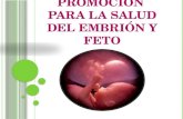 Promoción  para la salud del embrión y feto
