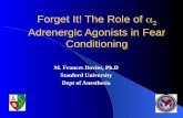 Forget It! The Role of  a 2  Adrenergic Agonists in Fear Conditioning