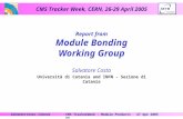 Report from Module Bonding Working Group
