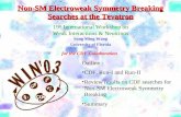 Non-SM Electroweak Symmetry Breaking Searches at the Tevatron