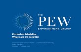 Environmentally harmful subsidies – a real threat to biodiversity Policy Dialogue