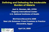 Defining and Defeating the Intolerable  Burden of Malaria