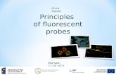 Principles of  fluorescent probes