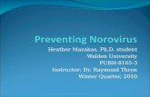 Preventing  Norovirus