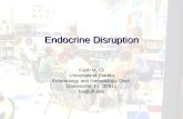 Endocrine Disruption