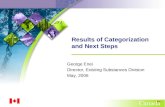 Results of Categorization and Next Steps