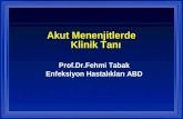 Akut Menenjitlerde   Klinik Tanı Prof.Dr.Fehmi Tabak Enfeksiyon Hastalıkları ABD
