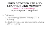 LINKS BETWEEN LTP AND LEARNING AND MEMORY Does LTP = learning? Physiological  -- cognitive