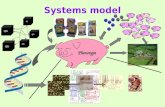 Systems model