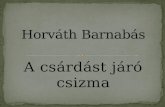 Horváth Barnabás
