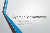 Gyomor  Schwannoma