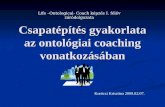Csapatépítés gyakorlata az ontológiai coaching vonatkozásában