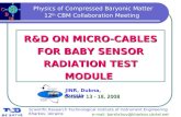 Physics of Compressed Baryonic Matter 12 th  CBM Collaboration Meeting