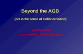 Beyond the AGB