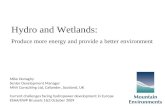 Hydro and Wetlands:  Produce more energy and provide a better environment