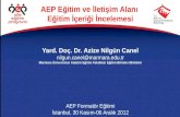AEP Eğitim ve İletişim Alanı  Eğitim İçeriği İncelemesi