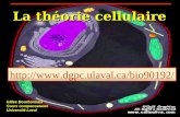 La théorie cellulaire