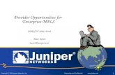 Provider Opportunities for  Enterprise MPLS