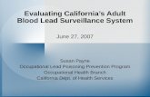 Evaluating California’s Adult Blood Lead Surveillance System June 27, 2007 Susan Payne