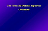 The Firm and Optimal Input Use Overheads