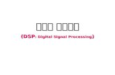 디지털 신호처리 (DSP : Digital Signal Processing )