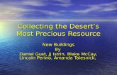 Collecting the Desert’s Most Precious Resource