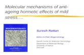 Molecular mechanisms of anti-ageing hormetic effects of mild stress….
