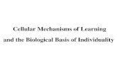 Cellular Mechanisms of Learning and the Biological Basis of Individuality