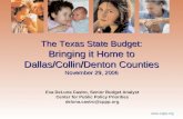 The Texas State Budget: Bringing it Home to Dallas/Collin/Denton Counties November 29, 2006
